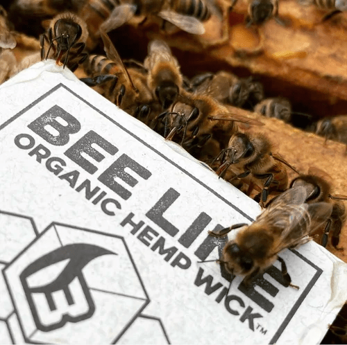 9ft OG Bee Line Hemp Wick - Smoke ATX