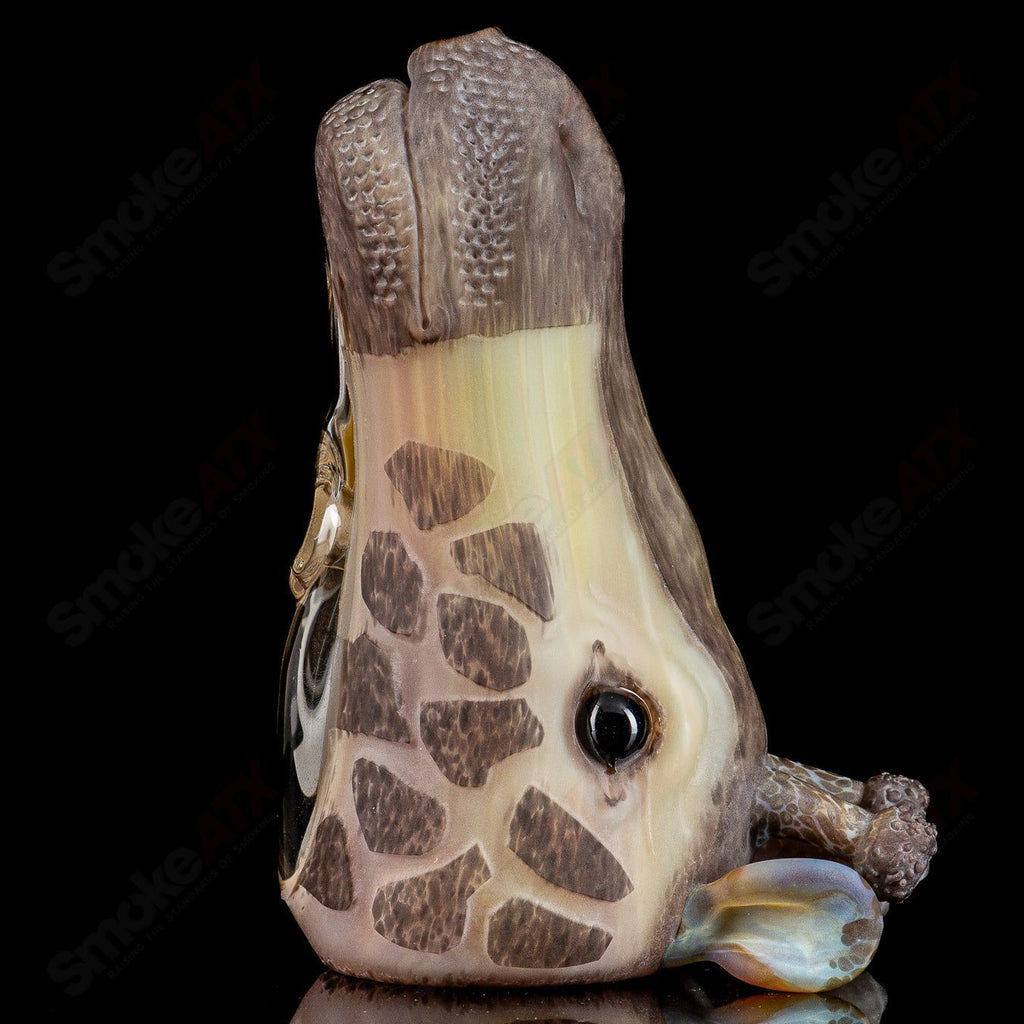 Giraffe Head Rig Addison Hanna