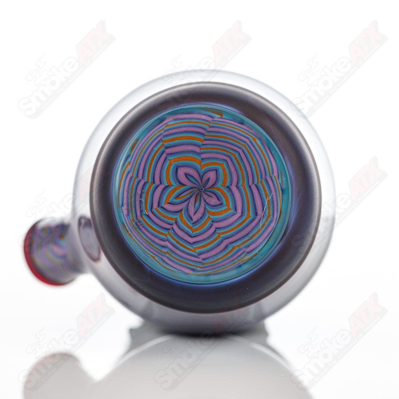 10mm Worked Cactus Waterpipe by Bird Dog & Sarita Glass - Smoke ATX