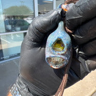 Hide and Seek  Frog  Pendant Kengtaro Glass