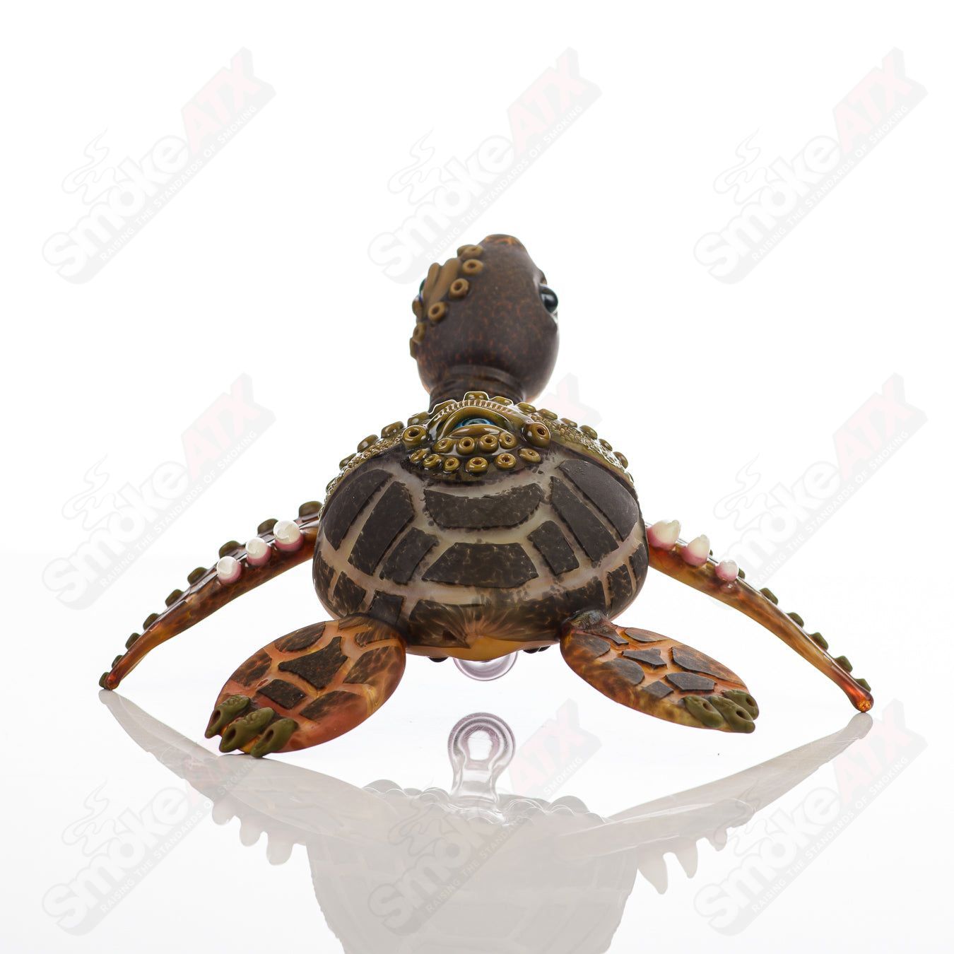 Sea Turtle w/ Stand (Butterscotch/Grizzly/Spanish Olive) Addison Hanna x SALT - Smoke ATX
